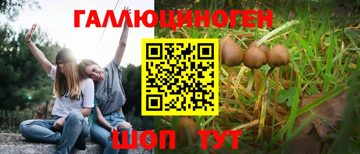 Псилоцибиновые грибы Magic Shrooms Ростов Великий